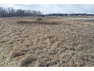 Property photo 49 - 127 Acres Offered in 8 Tracts - Allen & Dekalb County Land